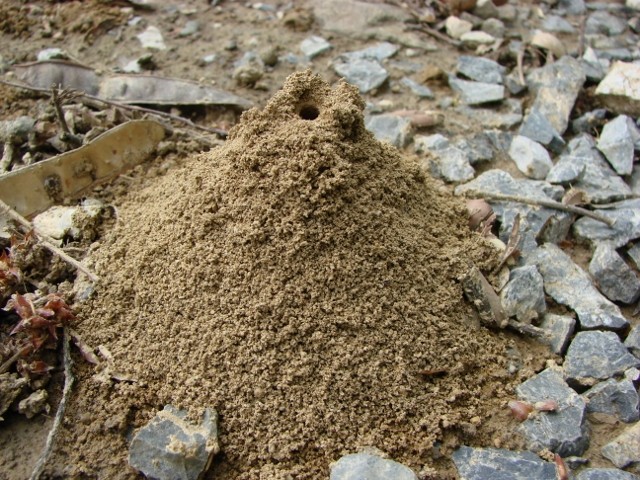 humak